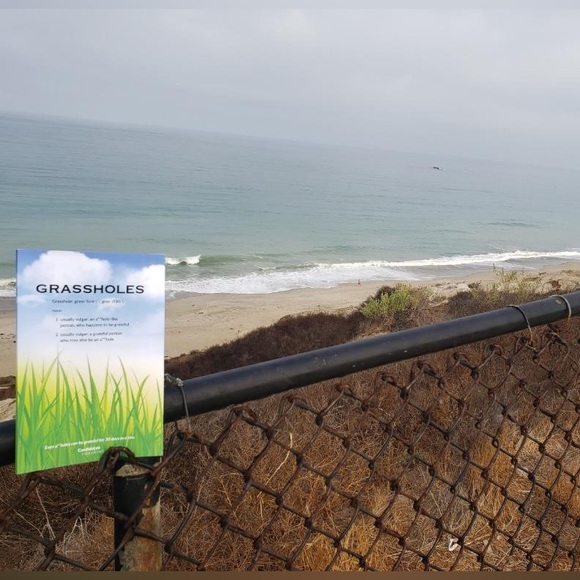 Grassholes Snarky Guided Journal Daily Gratitude **Adult Content** - Picture 7 of 8